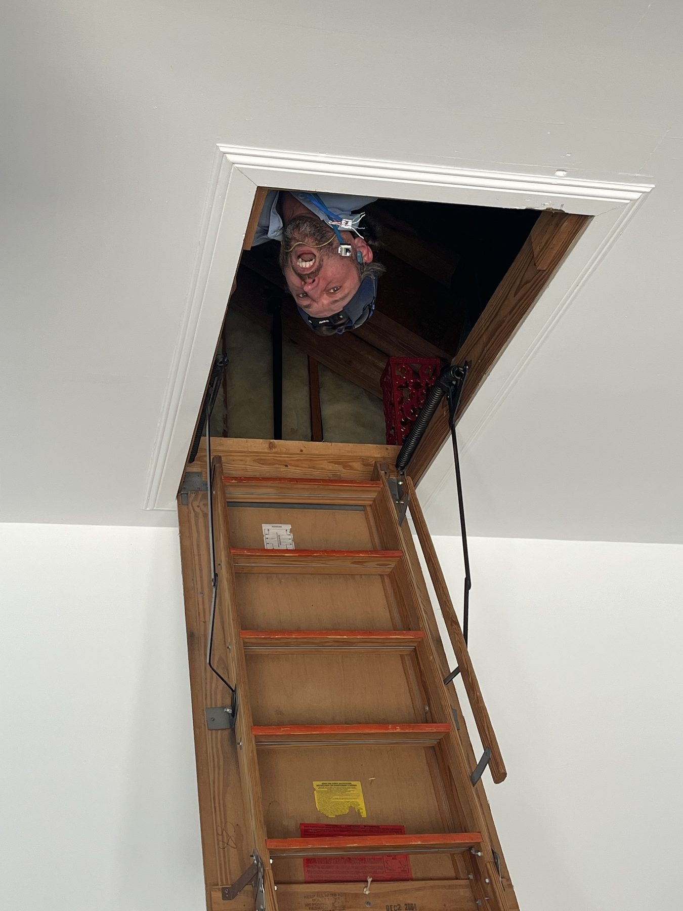 Looking down from an attic hatch while checking insulation